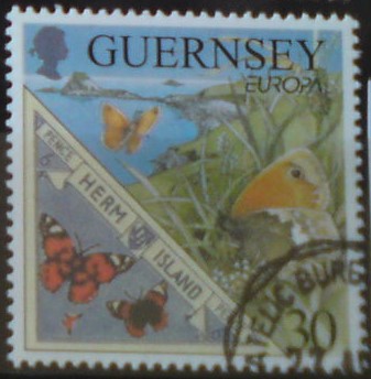Guernsey 810