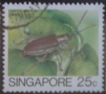 Singapur 467