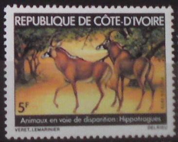 Pobrežie Slonoviny 597 **