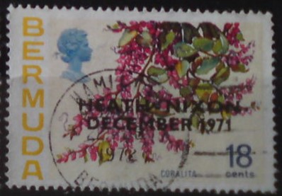 Bermudy 279