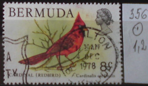 Bermudy 356