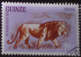 Francúzska Guinea 132
