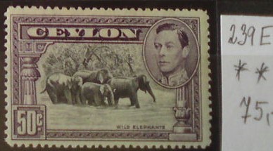 Ceylon 239 E **