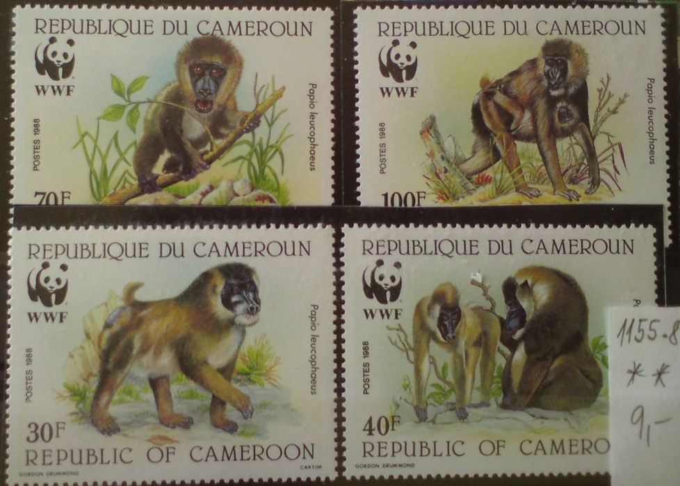 Kamerun 1155-8 **