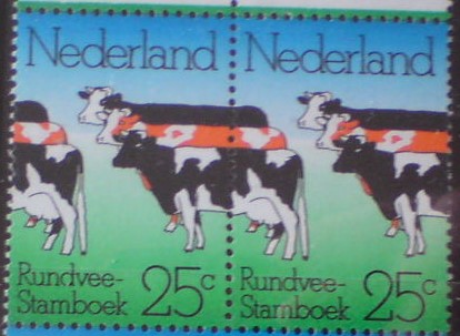Holandsko 1032 **