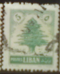 Libanon 503