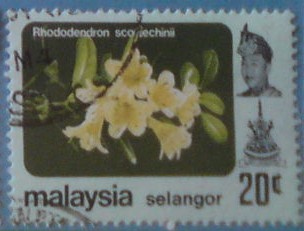 Selangor 117