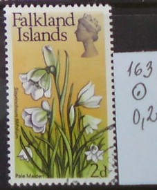 Falklandské ostrovy 163