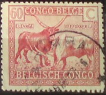Belgické Kongo 87