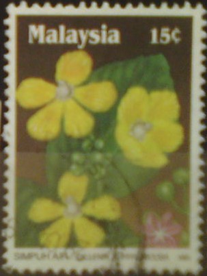 Malajsko 421