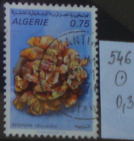 Alžírsko 546