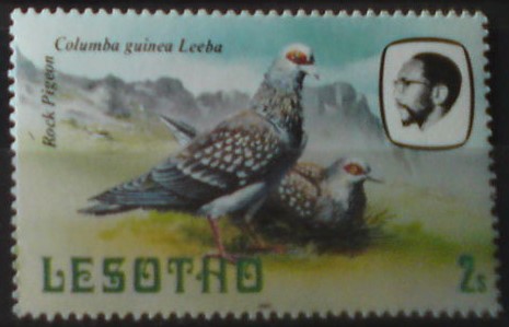 Lesotho 331 **