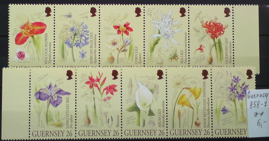 Guernsey 858-7 **
