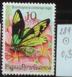 Papua nová Guinea 289