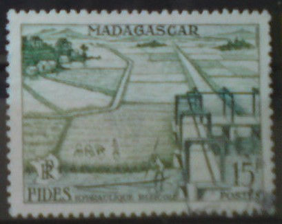 Madagaskar 434