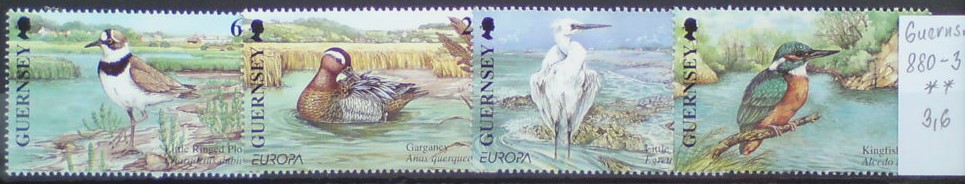 Guernsey 880-3 **