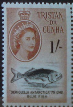 Tristan da Cunha 38 **