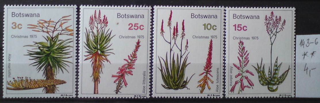 Botswana 143-6 **