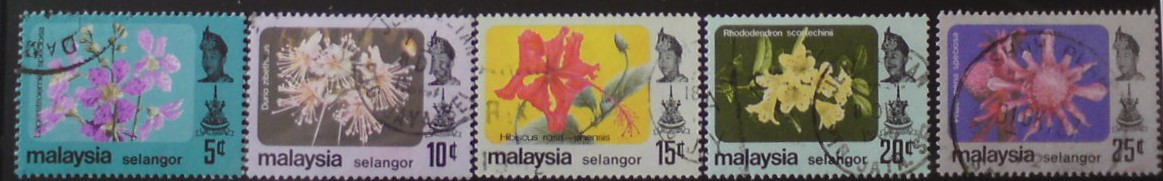 Selangor 114/8