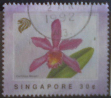 Singapur 634