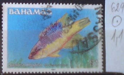 Bahamy 629