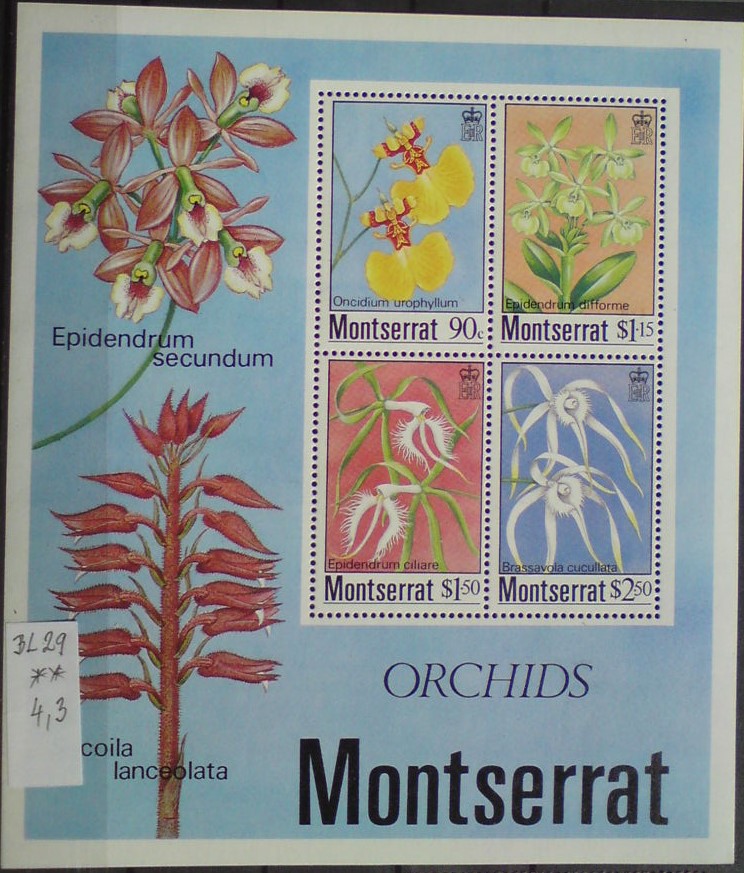 Montserrat BL 29 **