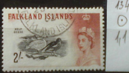 Falklandské ostrovy 134