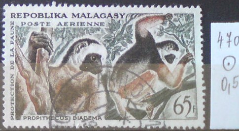 Madagaskar 470